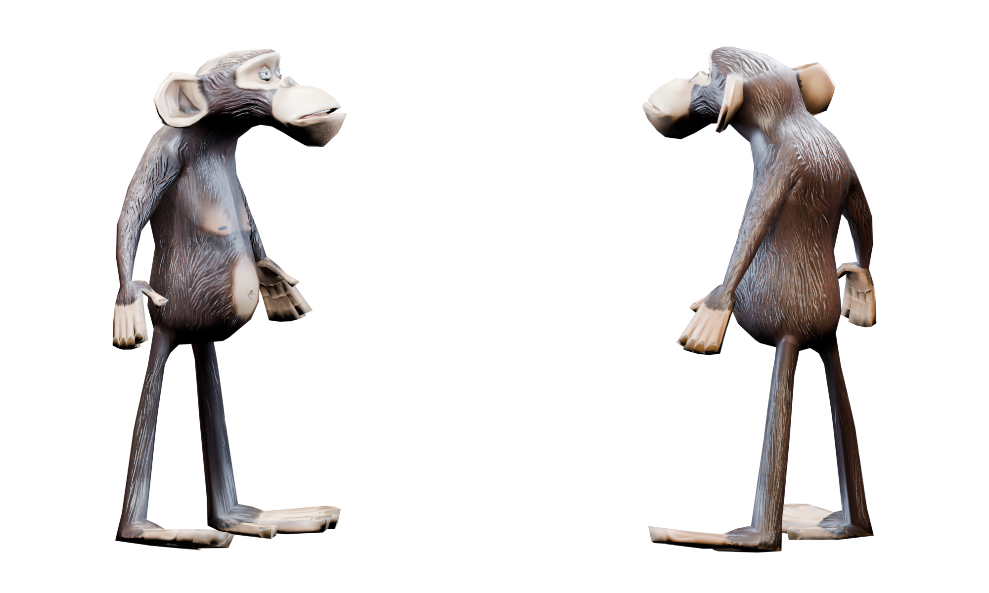 Madagascar Monkey